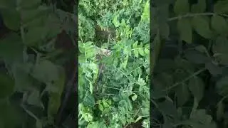 Июль❣️