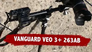 Review Vanguard VEO 3+ 263AB