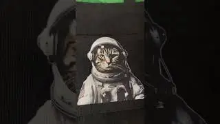 ЛАЙФХАК - Котики Милота ШОППЕР
