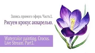 Watercolor Crocus. Live Stream Part1/ Рисуем крокус акварелью. Запись прямого эфира.Часть1.