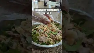 That will teach it. #bananatree #vietnamesecuisine #vietnamesecooking #vietnamesefood