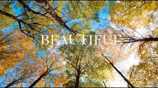 DeLaSar - Beautiful
