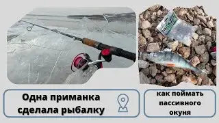 Тактика ловли окуня. Где найти и как уговорить пассивного хищника.