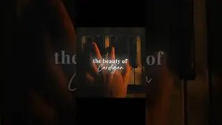 the beauty of cardigan✨ by #taylorswift #fyp  #shorts #song #cardigan #edit #taylorswiftversion