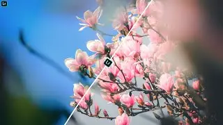 Angel View Flowers Preset | Lightroom Mobile Photo Editing Tutorial | Free Download Preset