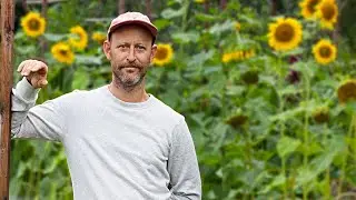 Framtidens sätt att odla är utan djurgödsel? Möt veganske odlaren Peter Albrecht