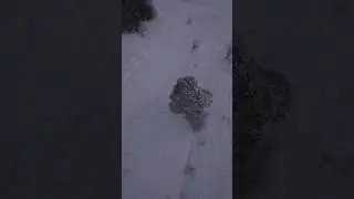 Зимний пейзаж 2024