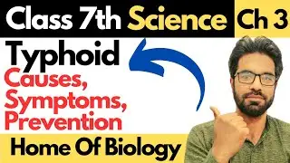 Class 7th Science New Book | Typhoid - Chap 3, Immunity and disease