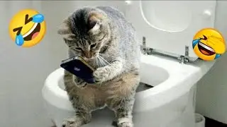 Funny Animals Compilation 2023 🤣🤣🤣 Try Not To Laugh