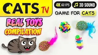 CAT TV - Ultimate TOYS compilation 🙀🐛 HD Sounds 😻📺 [4K]
