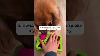 В этом деле нельзя сдаваться 😁