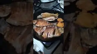 Жарёха