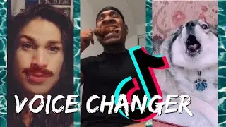 TikTok Voice Changer Videos to Make You Laugh! 🤪😳😝