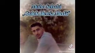 Muho Sebahi „Gulek Hewsa Meda“ Shexani