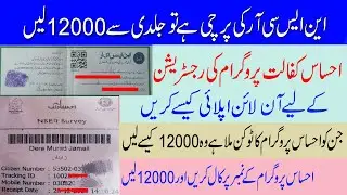 NSER Survey 2021 || Ehsas kafalat Program Online Registration || Ehsas Program 2021 || skill such