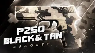 Обзор P250 | Black & Tan (Чёрно-бежевый) | CS:GO