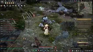 Black Desert бьем Банку на жизнь