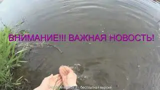 Удивительный и зрелищный стритфишинг и куча крыс на реке. Удивляем народ.