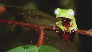 D-Stroyer - Kika (Official Video) [Copyright Free Music]