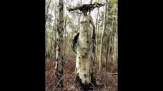 Really interesting photos about absolutely different things