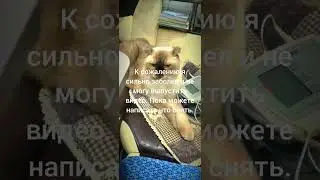 плохо