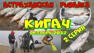 КИГАЧ октябрь 2023 - 2 серия
