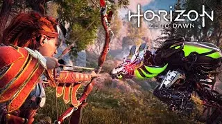 RX 6800 || Horizon Zero Dawn || 4K || Max Settings ||