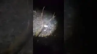 Почему опасно прыгать в прорубь зимой? 