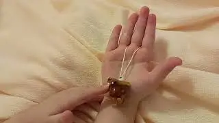пальчиковая гимнастика сидит белка на тележке