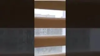 Рулонные шторы зебра на заказ в Москве -www.zhaluzivdom.ru