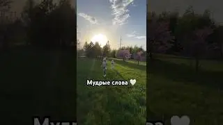 #мыслимудрецы #мудрыецитаты #мудрыемысли #цитаты #омархайям #топ1 #здороваяжизнь #правильныеслова