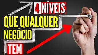 VC PRECISA SABER os 4 níveis que as empresas e negócios tem!