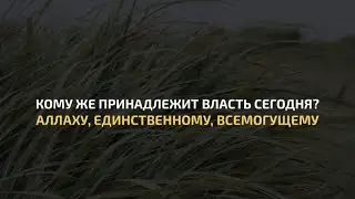 Сура 40 Ghafir | Чтец: Abu Aws | Красивое чтение Корана