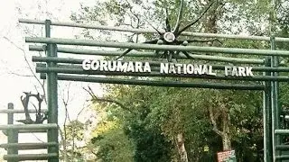 Memories from Gorumara National Park