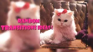 Transitions Ideas When You're Stuck! (+ project files) #2