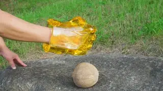 [타우] 꿀주먹  ( Honey Fist )