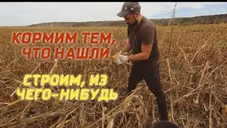 ВОТ как живут люди в РОССИЙСКОЙ ДЕРЕВНЕ | СТРОИМ ИЗ ЧЕГО ПОПАЛО, ЧЕМ КОРМИТЬ ХОЗЯЙСТВО БЕСПЛАТНО
