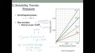 What is an Aqueous Solution?