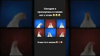 Куриный переполох 🤣 #утро #доброеутро #хорошегодня #новыйдень #суббота #выходной #зима #февраль #