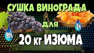 ЕГЭ, ОГЭ МАТЕМАТИКА. ЗАДАЧА НА ВИНОГРАД И ИЗЮМ