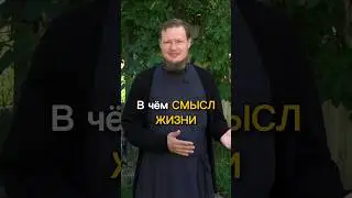 СМЫСЛ ЖИЗНИ ХРИСТИАНИНА