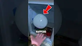 Putting Bubble in a Refrigerator and This Happened‼️🤯