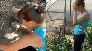 ЧТО ПРОИЗОШЛО С ЦЫПЛЯТАМИ Виновата только я