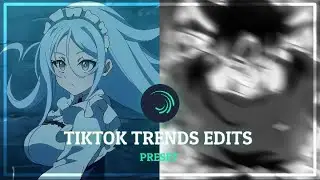 TikTok Trends Anime Edits Presets | Alight Motion