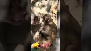 Нашу Люсечку накрыло от женатого мужчины))