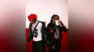 Playboi Carti X Gunna Type Beat 