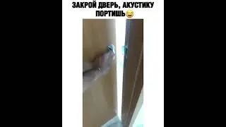 Как поёт попугай . А вы слышали как поёт попугай ?