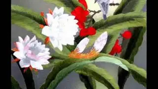 Art of Embroidery