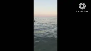 Что будет,если купаться в море после 20.00..Одесса,1.07.2024,#lenaihor