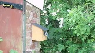 Home Delivery Service